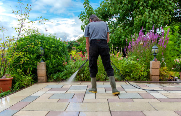 Best Driveway Cleaning and Restoration in Burney, CA